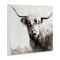 Stupell Industries Black & White Highland Cow Wall Plaque Art Design by Danita Delimont